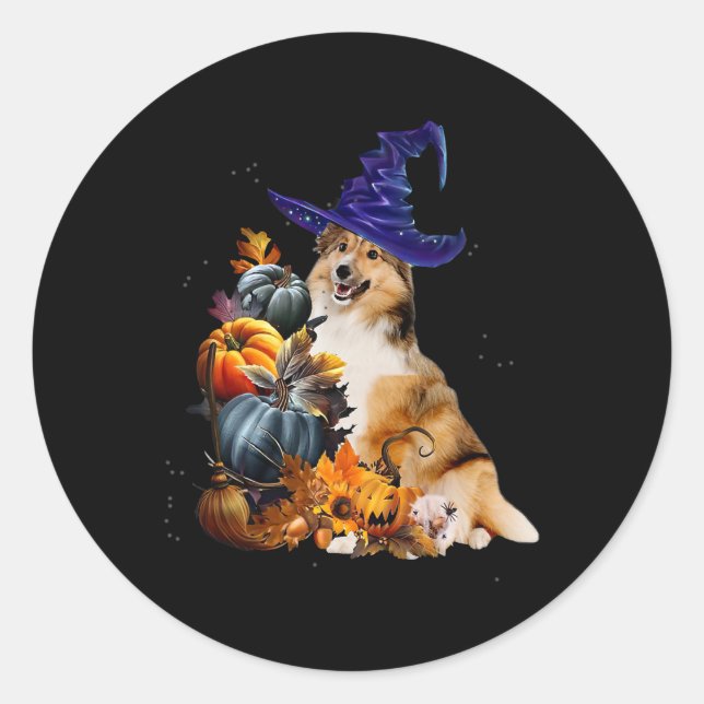 Sticker Rond Sheltie Chien Sorcière Et Citrouille Halloween Tha (Devant)