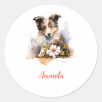 Shetland Sheepdog Chiot Pet Aquarelle