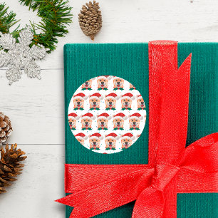 Sticker Rond Shiba Inu Chien race Étoiles de Noël