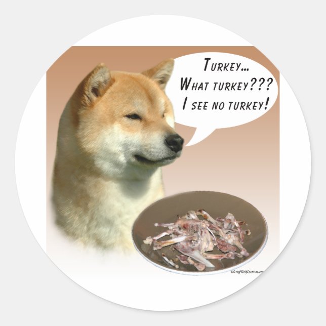 Sticker Rond Shiba Inu Turquie (Devant)