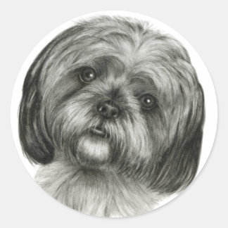 Sticker Rond Shih Tzu