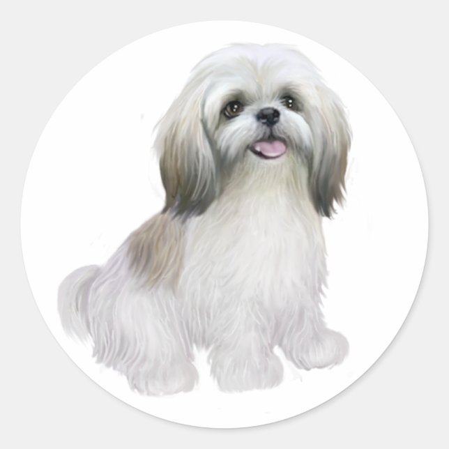 Sticker Rond Shih Tzu - Blanc avec gris-brun (Devant)