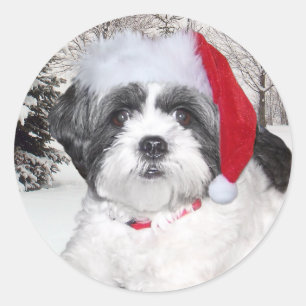 Sticker Rond Shih Tzu de Noël
