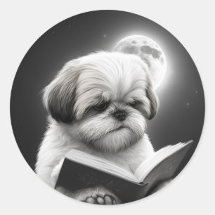 Sticker Rond Shih Tzu Livre lecture