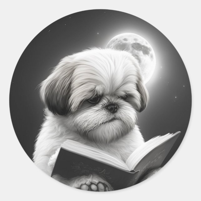 Sticker Rond Shih Tzu Livre lecture (Devant)