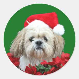 Sticker Rond Shih Tzu Noël