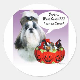 Sticker Rond Shih Tzu (préparé) Halloween Candy