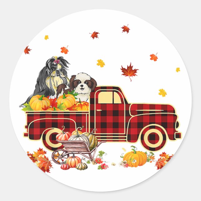 Sticker Rond Shih Tzu Pumpkin Truck | Fall Leaf Thanksgiving (Devant)