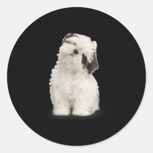 Sticker Rond Shih Tzu   Shih Tzu Puppy