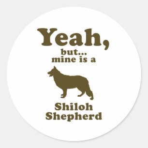 Sticker Rond Shiloh Shepherd