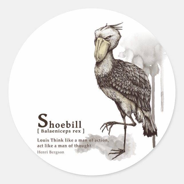 Sticker Rond shoebill - mocha (Devant)