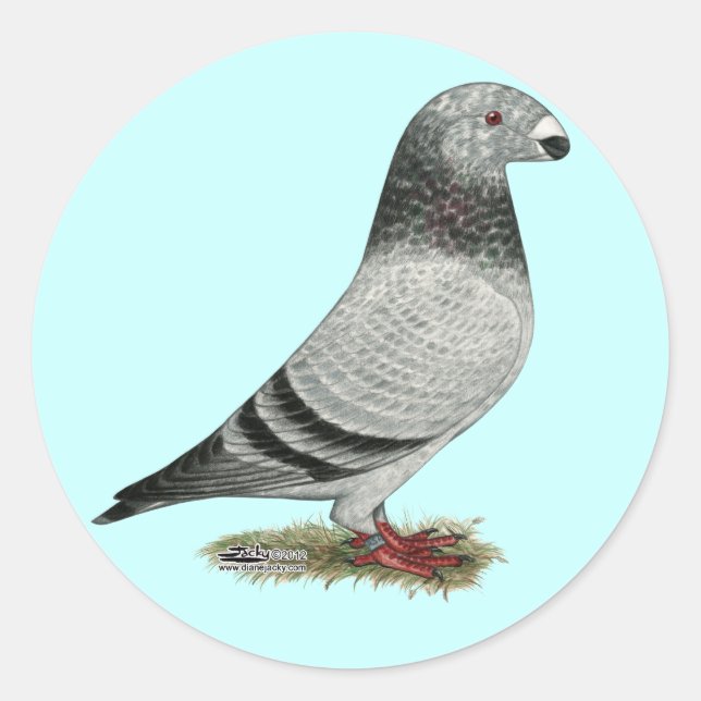 Sticker Rond Show Racer (Devant)