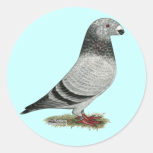 Sticker Rond Show Racer