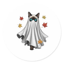 Siamese - Chat Siamese d'Halloween