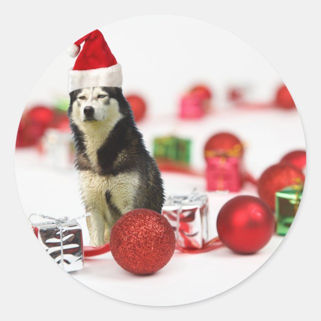 Sticker Rond Sibérie Husky Noël avec boîte cadeau ornement (Devant)