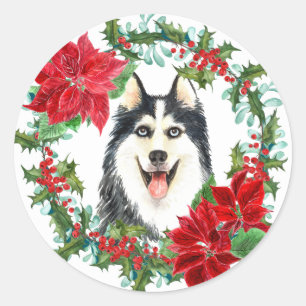 Sticker Rond Sibérie Husky Poinsettia Holly Christmas Wreath