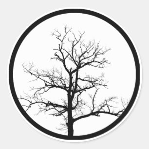 Sticker Rond Silhouette d'arbre
