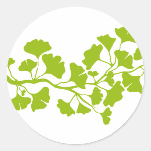 Sticker Rond silhouette d'arbre de ginkgo avec le feuille vert