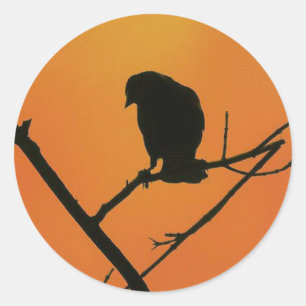 Sticker Rond Silhouette d'oiseau-noir à ailes rouges en orange