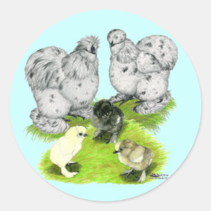 Sticker Rond Silkie Bantam Splash Family