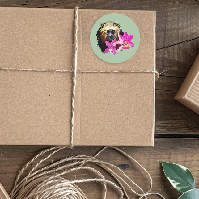 Sticker Rond Singe tamarin, Lion à tête dorée (Créateur téléchargé)