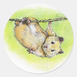 Sticker Rond Sir Ham