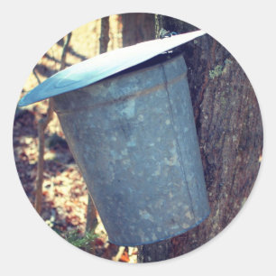 Sticker Rond Sirop d'érable Sap Bucket Nature