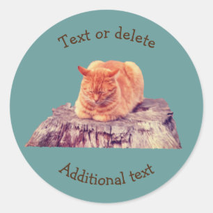 Sticker Rond Sleeping Orange Tabby Chat Animal Personnalisé