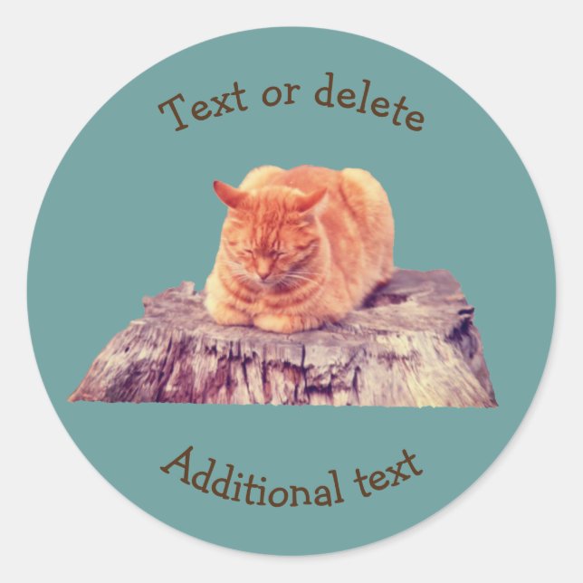 Sticker Rond Sleeping Orange Tabby Chat Animal Personnalisé (Devant)