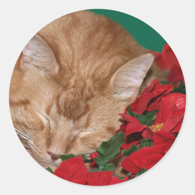 Sticker Rond Sleepy Christmas kitty (Devant)