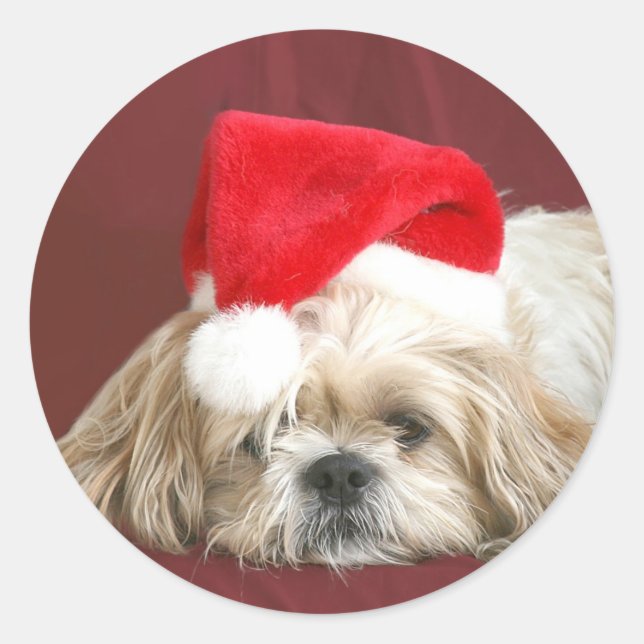 Sticker Rond Sleepy Christmas Shih Tzu (Devant)