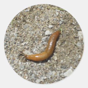 Sticker Rond Slug