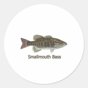 Sticker Rond Smallmouth Bass Art (titre)