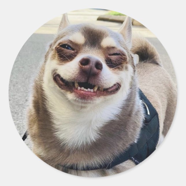 Sticker Rond Smile Big Huey (Devant)