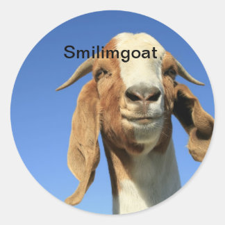 Sticker Rond Smilingoat