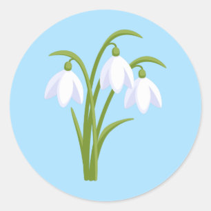 Sticker Rond Snowdrops - Fleurs de printemps sur bleu