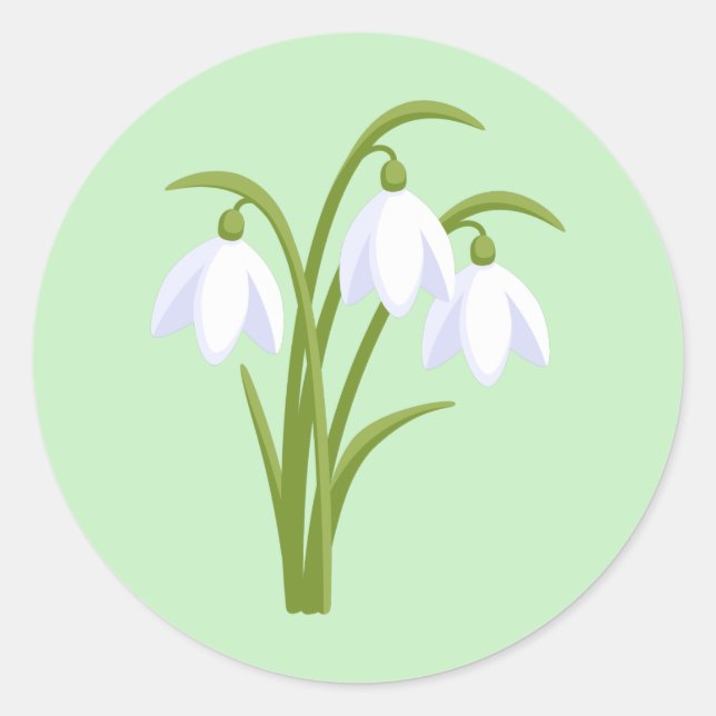 Sticker Rond Snowdrops - Fleurs de printemps sur vert (Devant)
