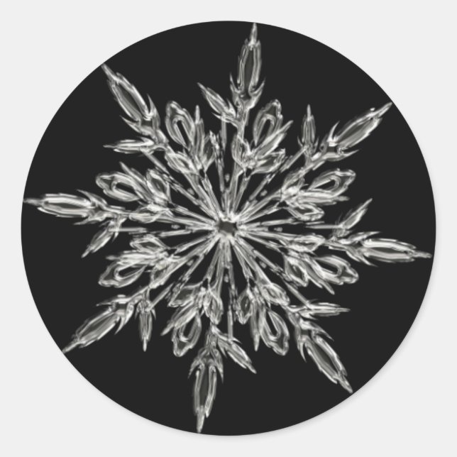 Sticker rond Snowflake (Devant)