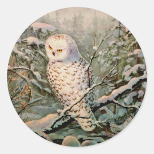 Sticker Rond SNOWY OWL par SHARON SHARPE