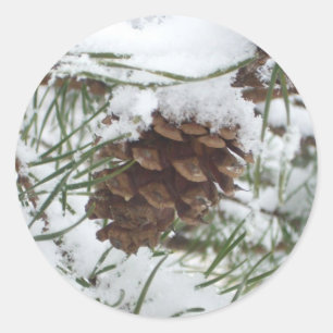 Sticker Rond Snowy Pine Cone I
