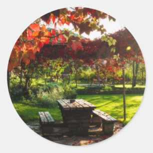 Sticker Rond Soleil à travers les feuilles d'automne, Croatie