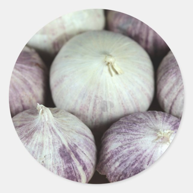 Sticker Rond Solo Garlic (Devant)