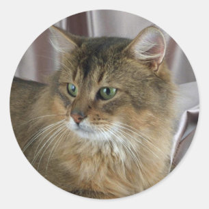 Sticker Rond Somalien, habituel