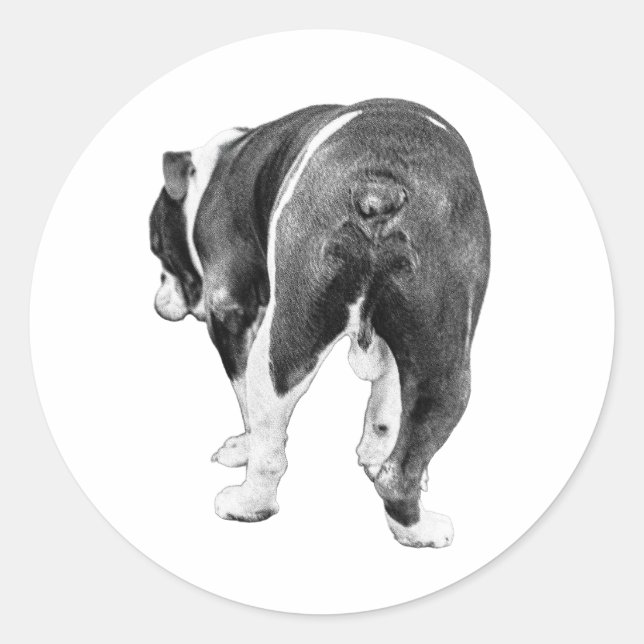 Sticker Rond Sortie joueuse, ombrage hiver plumé (Devant)