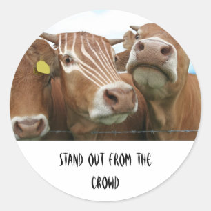 Sticker Rond Sortir de la foule