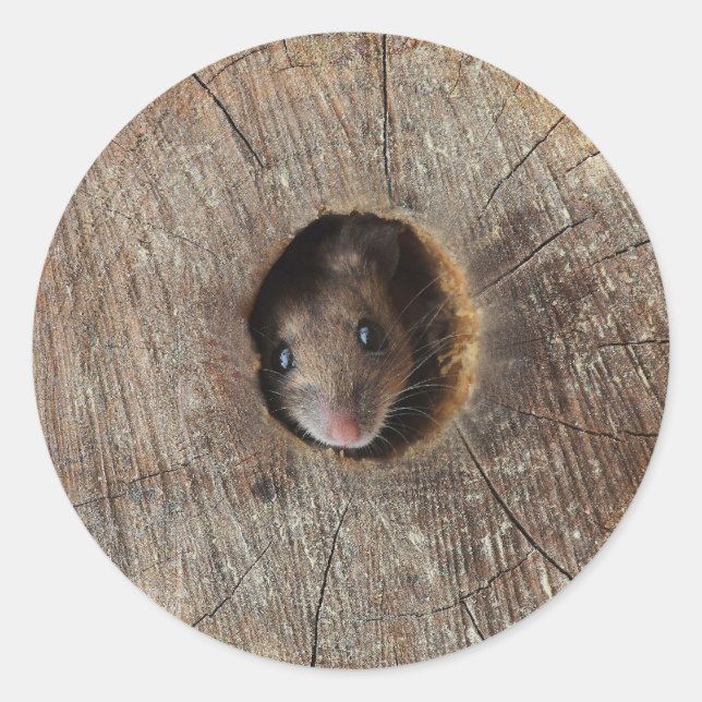 Sticker Rond Souris en bois (Devant)