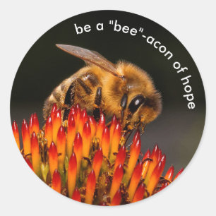 Sticker Rond Soyez un "Bee" Bacon de l'Espoir Bee sur Echinacea