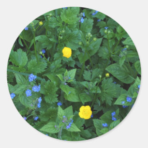Sticker Rond Speedwell et Buttercups