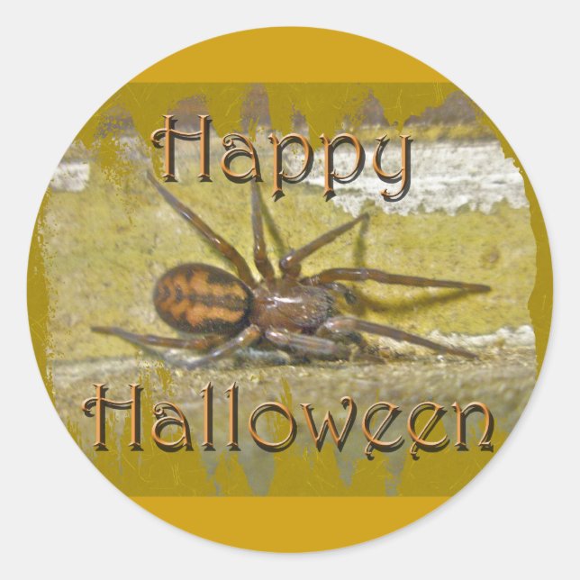 Sticker Rond Spider Halloween Jours de coordination (Devant)