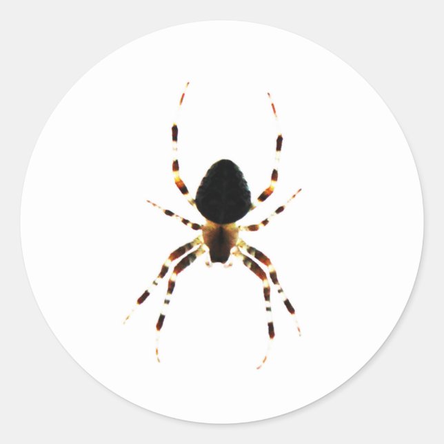Sticker Rond Spider st arc3 (Devant)